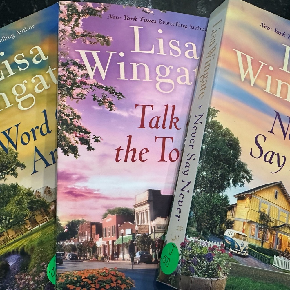 Lisa Wingate Book Set - Picture 3 of 4